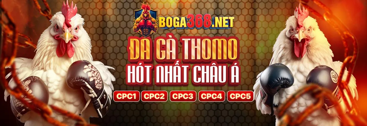 Tổng quan về 777bet code