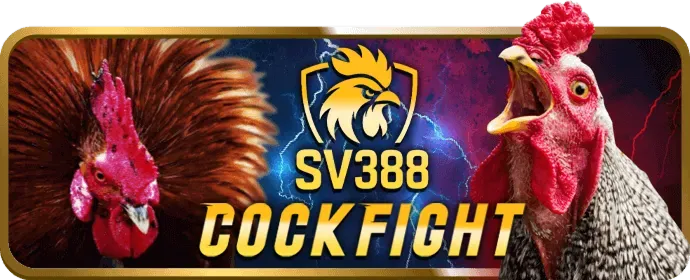 Hoàn trả cược thua 777bet code
